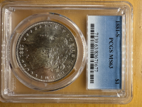 Silver Dollar